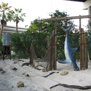 Shark Voyage - Caught Shark Scene