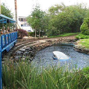 Shark Voyage - Simulated Shark Attack