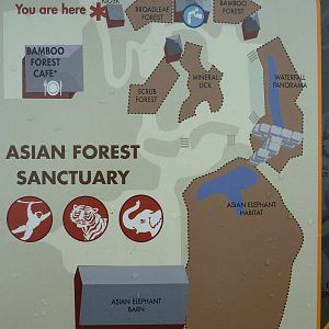Asian Forest Sanctuary - Map