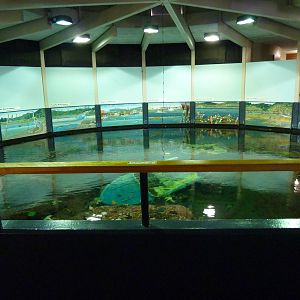 North Pacific Aquarium - 160,000 Gallon Tank