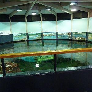 North Pacific Aquarium - 160,000 Gallon Tank