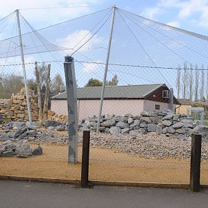 View of Province of the Snow Cat