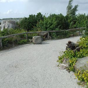 Path, Dolphin Lagoon