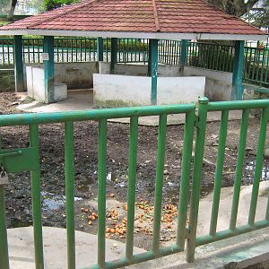 enclosure for Malayan tapirs