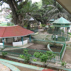 enclosure for Malayan tapirs