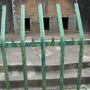 first sun bear pit, view from front