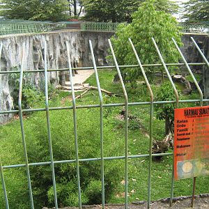 enclosure for Sumatran tiger