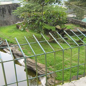 second enclosure for Sumatran tiger
