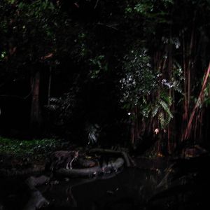 Fishing Cat Trail - Fishing Cat exhibit