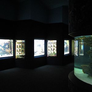 Kipp Aquarium - Interior