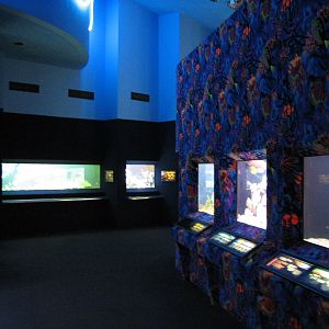 Kipp Aquarium - Interior