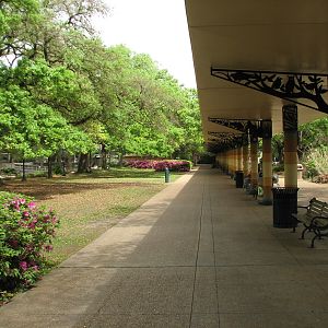 Reflecting Pool - Canopy