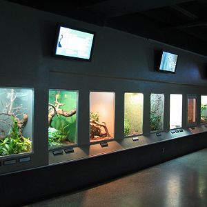 Reptile and Amphibian Building - Interior