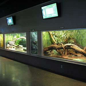 Reptile and Amphibian Building - Interior