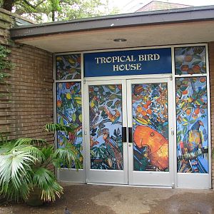 Tropical Bird House - Exterior