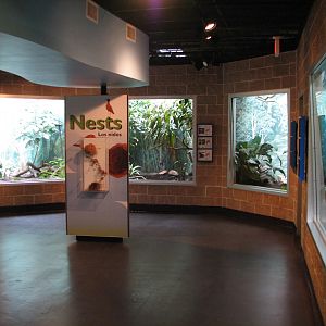 Tropical Bird House - Interior