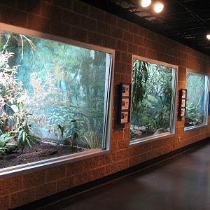 Tropical Bird House - Interior