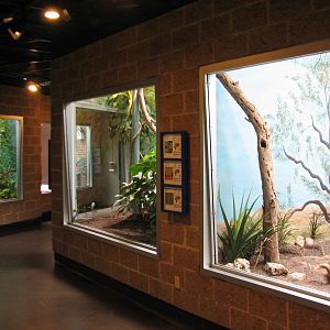 Tropical Bird House - Interior