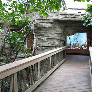 Tropical Bird House - Aviary Interior