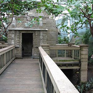 Tropical Bird House - Aviary Interior