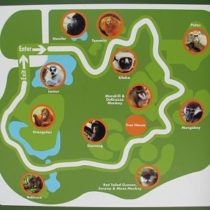 World of Primates - Map