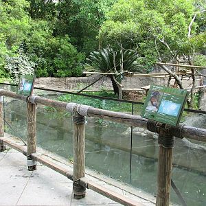 World of Primates - Ring-tailed and Red-fronted Lemur and Turtle and Duck E