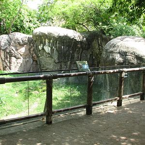 World of Primates - Patas Monkey Exhibit