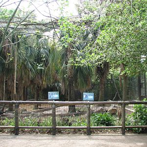 World of Primates - Mandrill and Debrazzas Monkey Exhibit