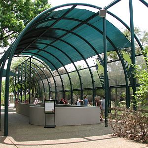 Carnivores - Walkway