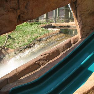 Childrens Zoo - River Otter Exhibit Waterfall and Slide