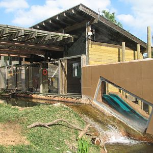 Childrens Zoo - River Otter Exhibit