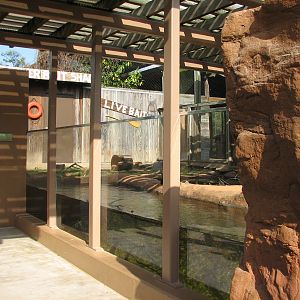 Childrens Zoo - River Otter Exhibit Underwater Viewing Area