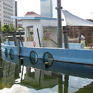 Childrens Zoo - Brown Pelican Exhibit