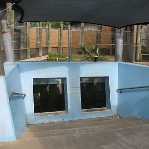 Childrens Zoo - Alligator Snapping Turtle Exhibit