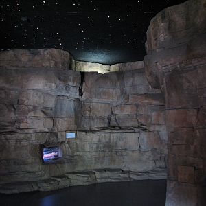 Childrens Zoo - Desert Starlit Cave