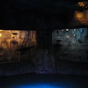 Childrens Zoo - Bat Exhibit