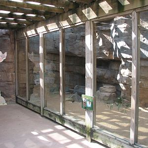 Childrens Zoo - Swift Fox Exhibit