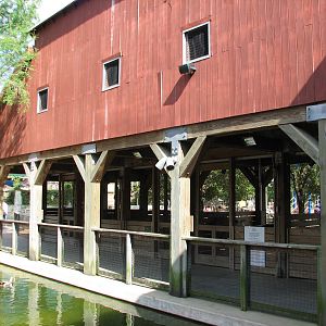 Childrens Zoo - Domestic Contact Barn
