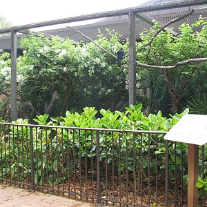 Natural Encounters - Rainforest Canopy - Weather-permitting Exterior Exhibi