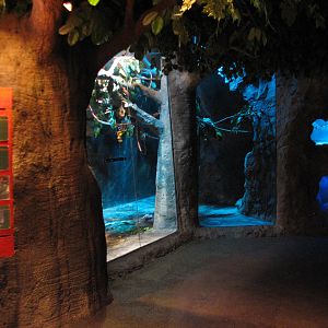 Natural Encounters - Bats Exhibits