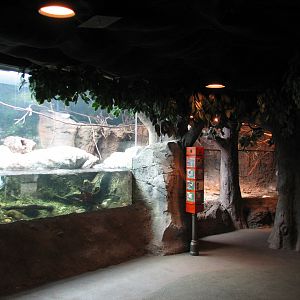 Natural Encounters - Rivers Edge - Asian Small-clawed Otter Mixed Species E