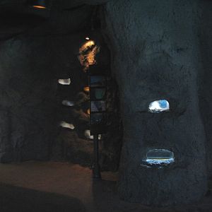 Natural Encounters - Dry Lands - Tunnel Exhibits