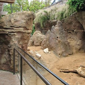 Natural Encounters - Meerkat Exhibit