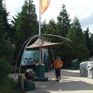 Education in Dolfinarium Harderwijk