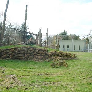 Sri Lankan Leopard Enclosure