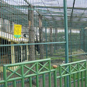 primate cages