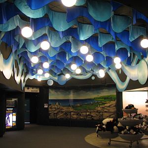 Penguin Encounter - Graphics Room