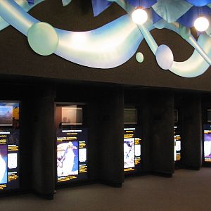 Penguin Encounter - Penguin Graphics