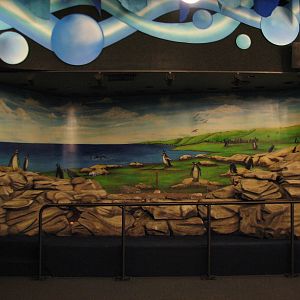 Penguin Encounter - Penguin Graphics