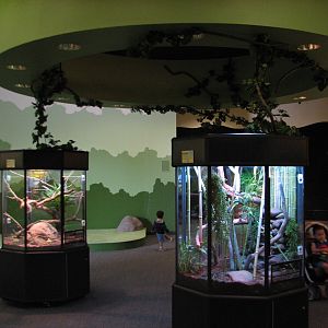 Conservation Center - Interior